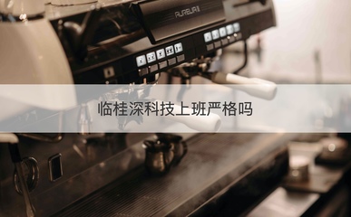 临桂深科技薪资待遇与工作环境探析